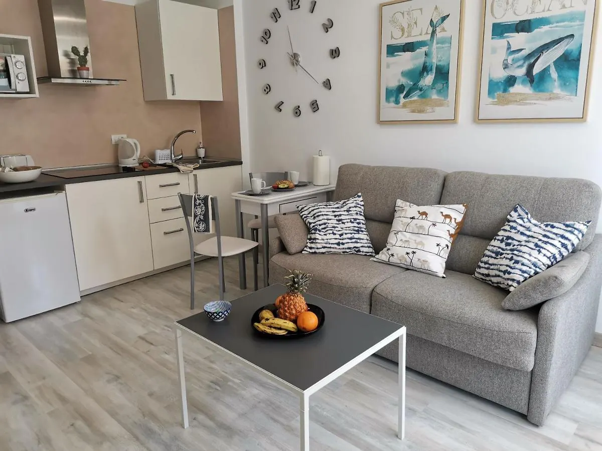 Sunny Cactus Garden Apartment 150M From Beach, Fast Fiber Wifi San Bartolomé