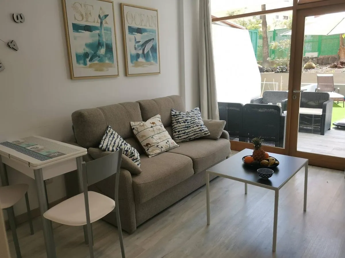 Sunny Cactus Garden Apartment 150M From Beach, Fast Fiber Wifi San Bartolomé 0*,