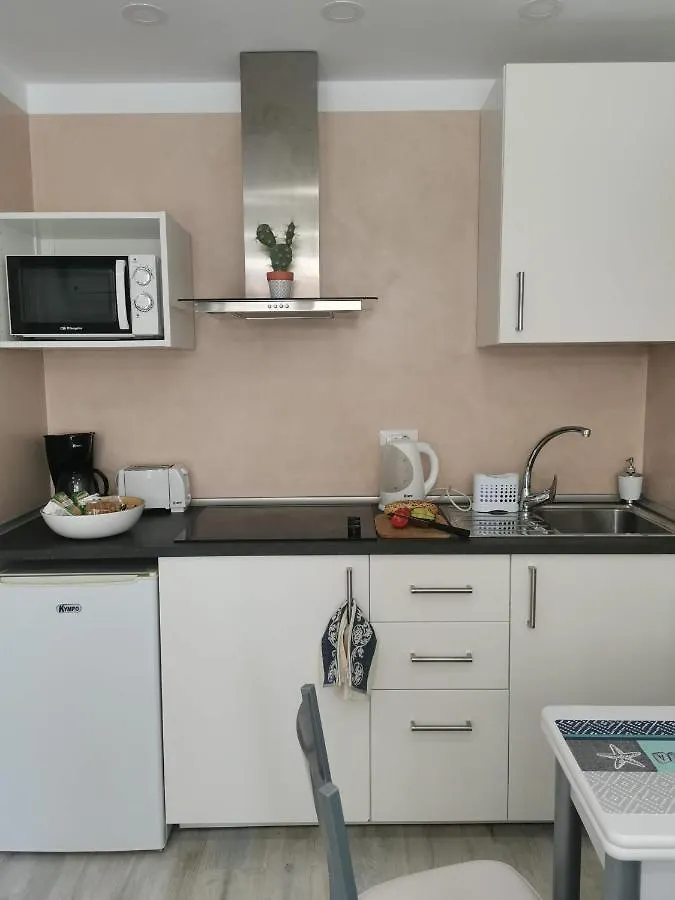Sunny Cactus Garden Apartment 150M From Beach, Fast Fiber Wifi San Bartolomé