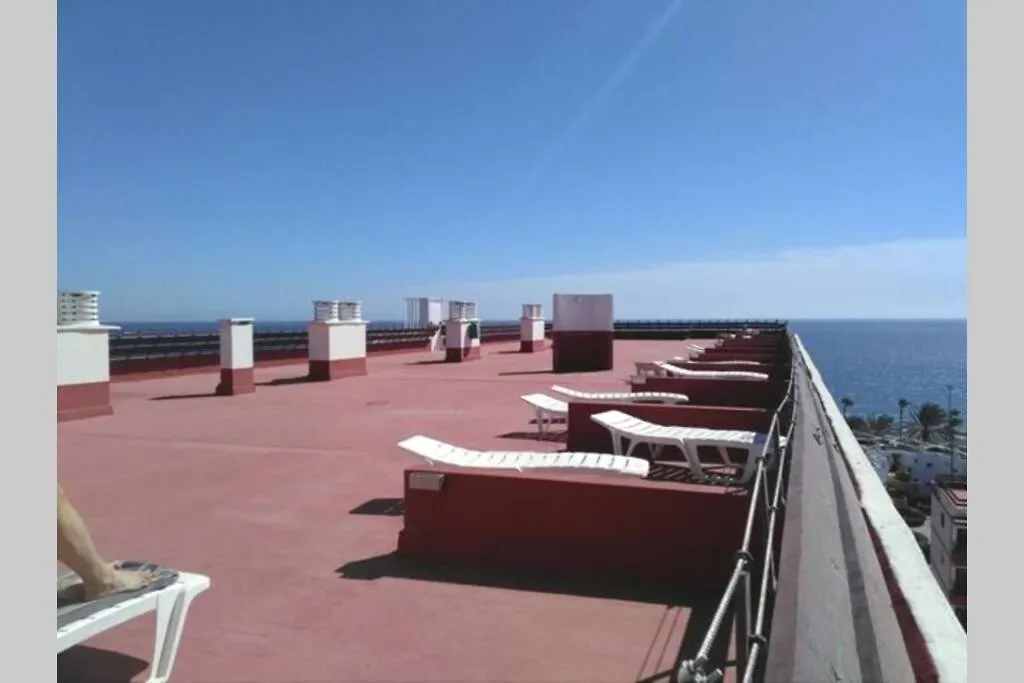 Sunny Cactus Garden Apartment 150M From Beach, Fast Fiber Wifi San Bartolomé