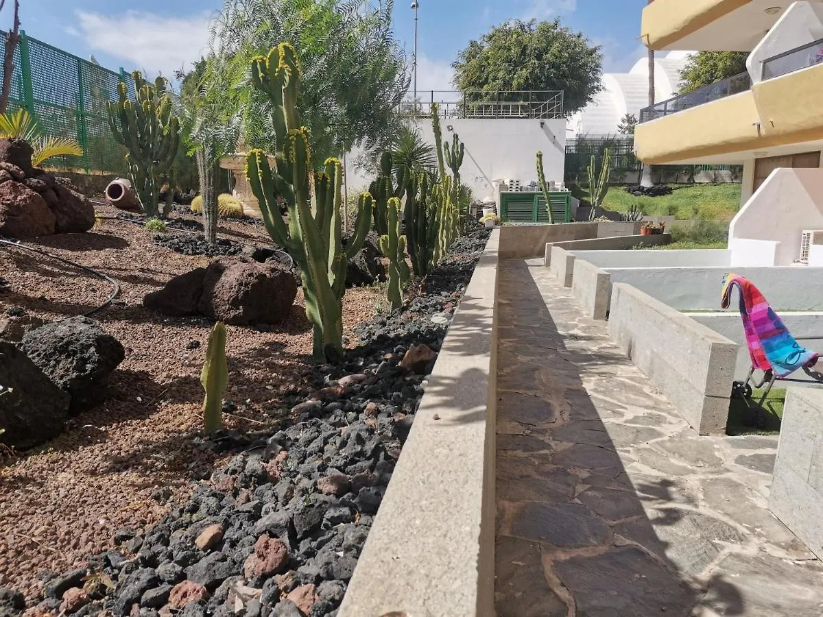 Sunny Cactus Garden Apartment 150M From Beach, Fast Fiber Wifi San Bartolomé